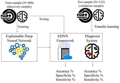 Development of an Al-Based Web Diagnostic System for Phenotyping Psychiatric Disorders